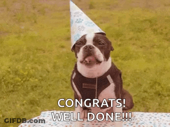 A Dog Wearing A Birthday Hat Is Sitting On A Picnic Table . GIF