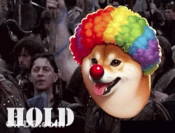 A Dog Wearing A Clown Wig And Nose Is Surrounded By People And The Word Hold Is On The Bottom GIF