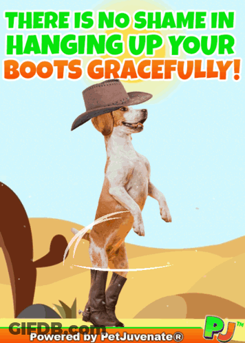 A Dog Wearing A Cowboy Hat And Boots Says There Is No Shame In Hanging Up Your Boots Graciously GIF