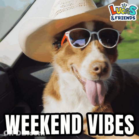 A Dog Wearing A Cowboy Hat And Sunglasses With The Words Weekend Vibes Below GIF
