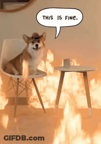 A Dog Wearing A Cowboy Hat Is Sitting In A Chair With A Speech Bubble That Says This Is Fine GIF
