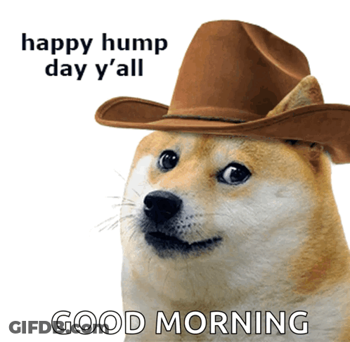 A Dog Wearing A Cowboy Hat Says Happy Hump Day Y'all GIF