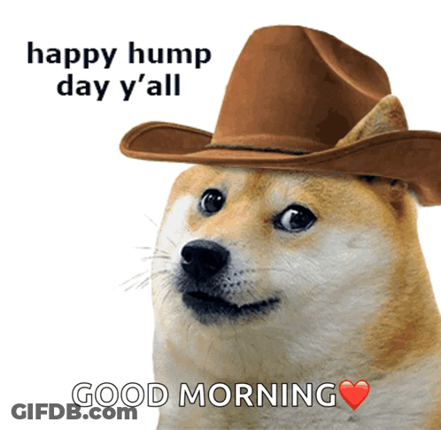 A Dog Wearing A Cowboy Hat Says " Happy Hump Day Y 'All " GIF