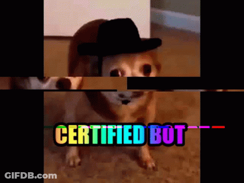 A Dog Wearing A Cowboy Hat With The Words " Certified Bot " Above It GIF