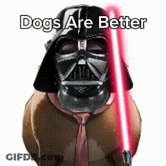 A Dog Wearing A Darth Vader Helmet And Tie Holding A Red Light Saber GIF