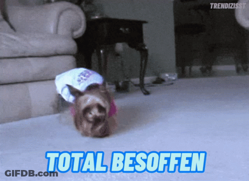 A Dog Wearing A Diaper And A Hat With The Words Total Besoffen Above It GIF