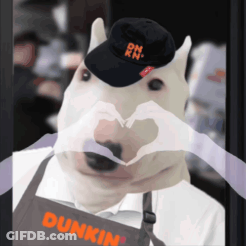 A Dog Wearing A Dunkin ' Donuts Apron Making A Heart Shape GIF