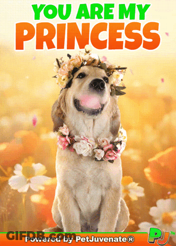 A Dog Wearing A Flower Crown With The Words You Are My Princess Above It GIF