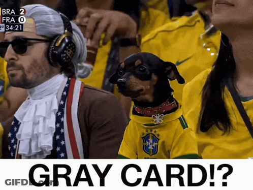 A Dog Wearing A Gray Card Jersey Sits Next To A Man GIF