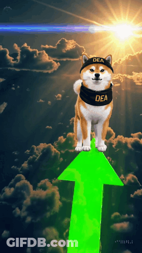 A Dog Wearing A Hat That Says Dea Stands On A Green Arrow GIF