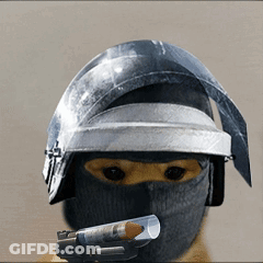 A Dog Wearing A Helmet And Holding A Gun In Its Mouth GIF