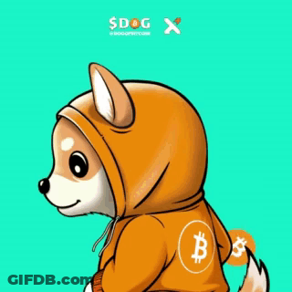 A Dog Wearing A Hoodie With A Bitcoin Symbol On It GIF