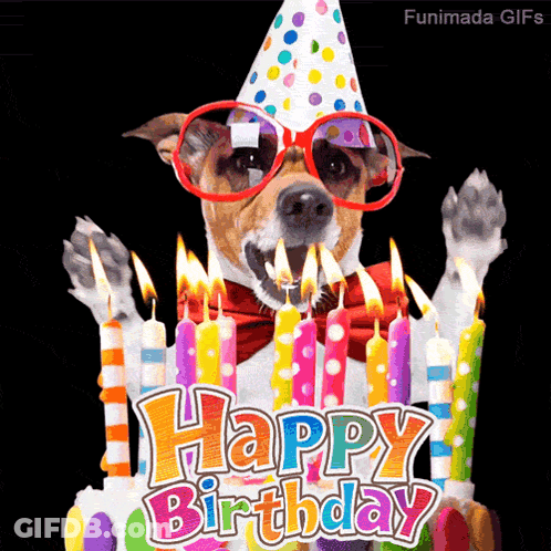 A Dog Wearing A Party Hat And Sunglasses Is Blowing Out Candles On A Birthday Cake That Says Happy Birthday GIF