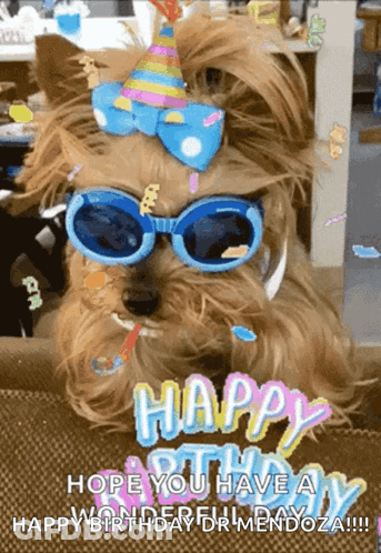 A Dog Wearing A Party Hat And Sunglasses Says " Happy Birthday Mendoza " GIF