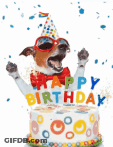 A Dog Wearing A Party Hat And Sunglasses Stands In Front Of A Birthday Cake GIF