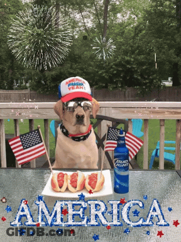 A Dog Wearing A Patriotic Hat Sits At A Table With A Bud Light Bottle GIF