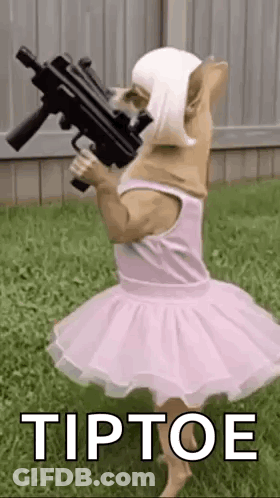 A Dog Wearing A Pink Tutu And Holding A Gun . GIF