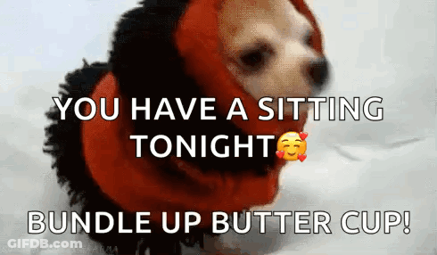 A Dog Wearing A Red Hat And A Red Scarf With The Words You Have A Sitting Tonight Bundle Up Butter Cup GIF
