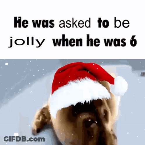 A Dog Wearing A Santa Hat With The Words He Was Asked To Be Jolly When He Was 6 Below It GIF