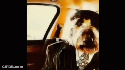 A Dog Wearing A Suit And Tie Is Sitting In The Back Seat Of A Car . GIF