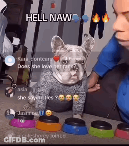 A Dog Wearing A Sweater Is Surrounded By Bowls With Buttons And A Caption That Says Hell Naw GIF