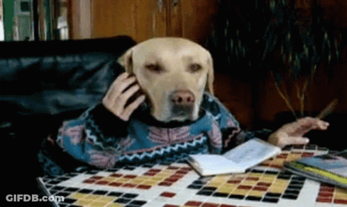 A Dog Wearing A Sweater Is Talking On A Phone GIF