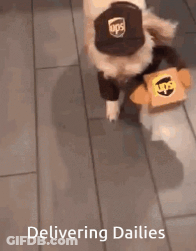 A Dog Wearing A Ups Hat And Carrying A Ups Box GIF