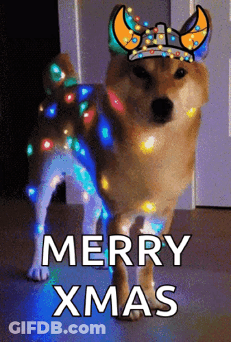 A Dog Wearing A Viking Hat With Christmas Lights On It GIF