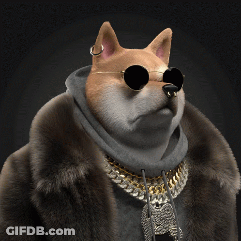 A Dog Wearing A White Bucket Hat And A Backpack GIF