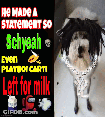 A Dog Wearing A Wig And A Necklace Is Next To A Sign That Says He Made A Statement So Schyeah GIF