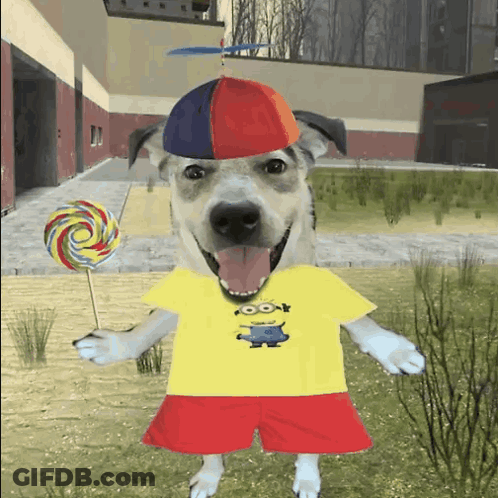A Dog Wearing A Yellow Shirt With A Minion On It GIF