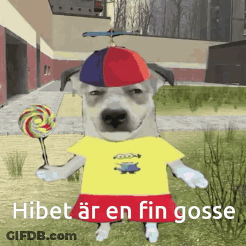 A Dog Wearing A Yellow Shirt With Minions On It Is Holding A Lollipop And The Words Hibet Ar En Fin Gosse Below It GIF