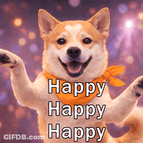 A Dog Wearing An Orange Scarf With The Words Happy Happy Happy On It GIF