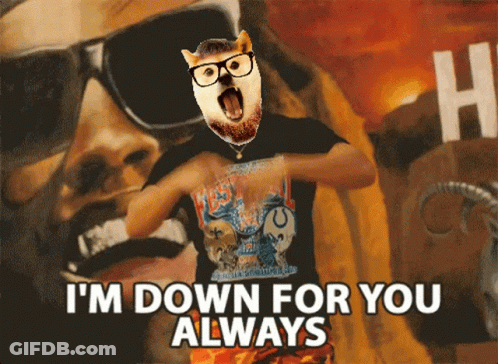 A Dog Wearing Glasses And A Beard Says " I 'M Down For You Always " GIF