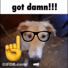 A Dog Wearing Glasses And A Hand With The Word Got Damn Written Above It GIF