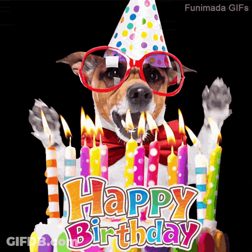 A Dog Wearing Glasses And A Party Hat Stands In Front Of A Birthday Cake With Candles GIF