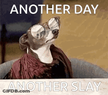 A Dog Wearing Glasses And A Scarf With The Words Another Day Another Slay Behind It GIF