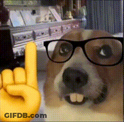 A Dog Wearing Glasses And A Yellow Hand Giving A Horns Up Sign GIF