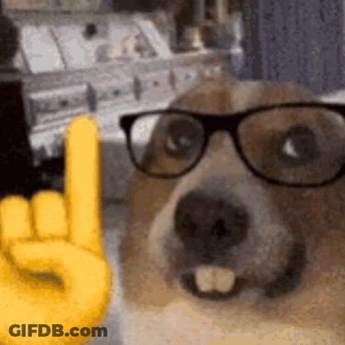 A Dog Wearing Glasses And A Yellow Hand Giving A Rock And Roll Sign . GIF