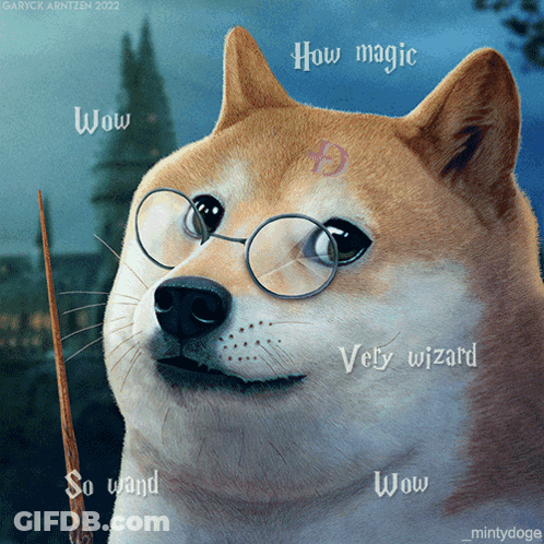 A Dog Wearing Glasses And Holding A Wand With The Words Wow Wow Wow And Very Wizard GIF