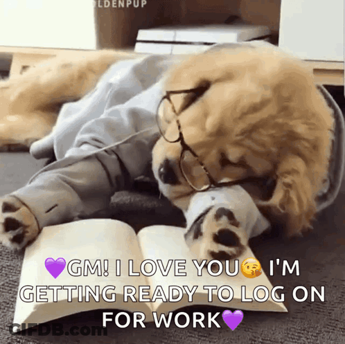 A Dog Wearing Glasses Is Reading A Book And Says Gm I Love You I M Getting Ready To Log On For Work GIF