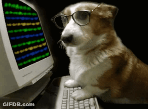A Dog Wearing Glasses Sits At A Computer Keyboard GIF