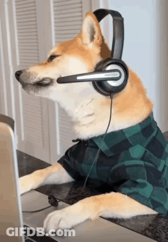 A Dog Wearing Headphones And A Plaid Shirt Is Using A Laptop GIF