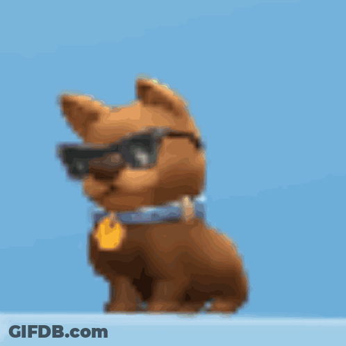 A Dog Wearing Sunglasses And A Blue Collar Is Sitting On A Blue Surface GIF