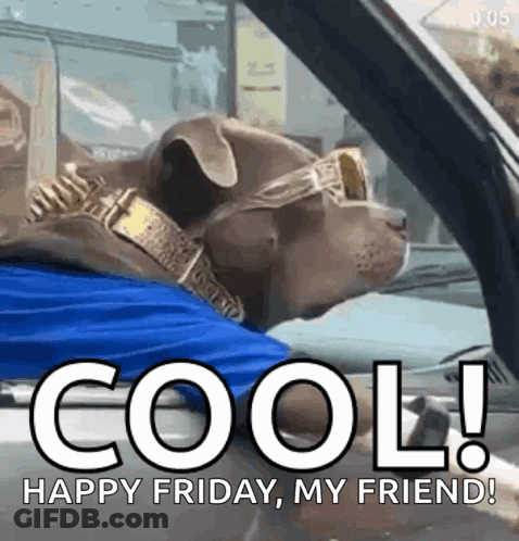 A Dog Wearing Sunglasses And A Collar Is Driving A Car With The Words Cool Happy Friday My Friend Written Below It GIF