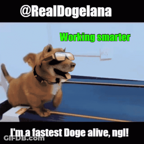 A Dog Wearing Sunglasses And A Collar Is Running On A Treadmill With The Caption Working Smarter GIF