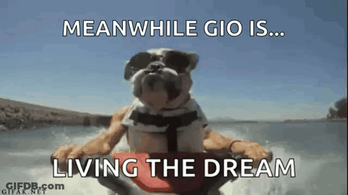 A Dog Wearing Sunglasses And A Life Jacket Is Riding A Jet Ski . GIF