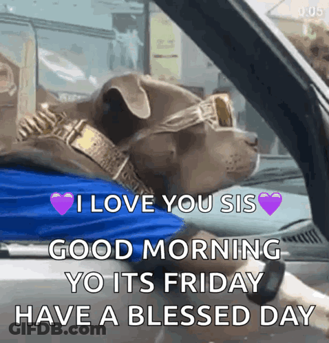 A Dog Wearing Sunglasses And A Necklace Is Sitting In A Car GIF
