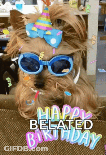 A Dog Wearing Sunglasses And A Party Hat With The Words Happy Belated Birthday GIF