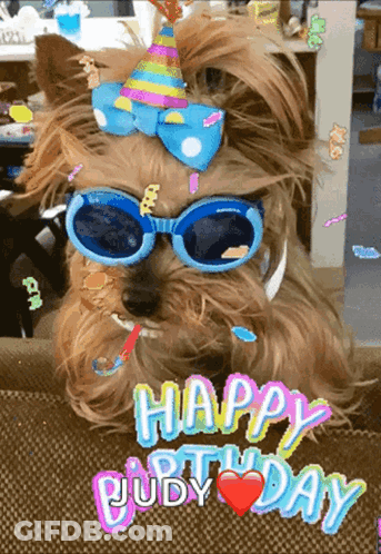 A Dog Wearing Sunglasses And A Party Hat With The Words Happy Birthday Judy GIF